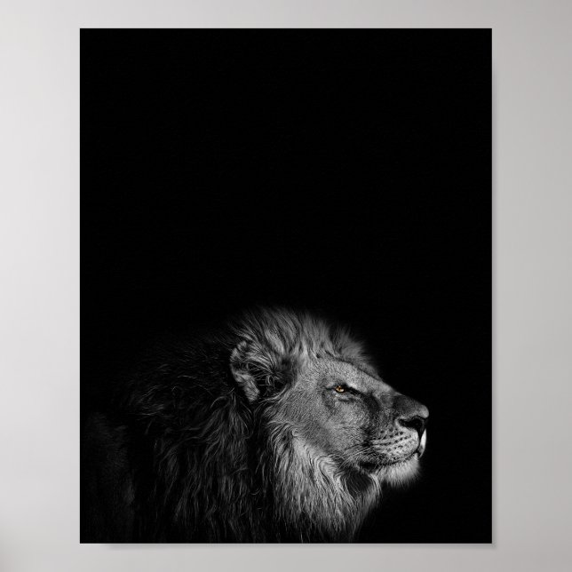 The King, Lion, black and white photography Poster (Front)
