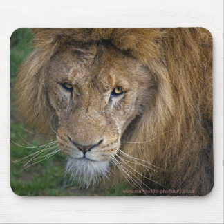 The King Mousepad