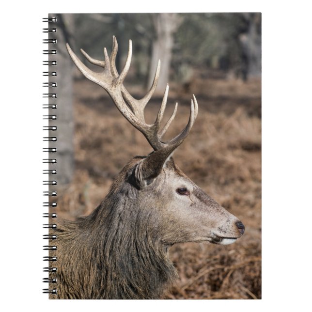 The King's Deer of Richmond Park, London, UK Notebook (Front)