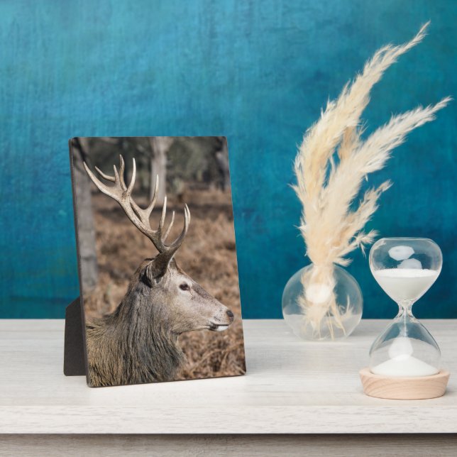 The King's Deer of Richmond Park, London, UK Plaque (Side)