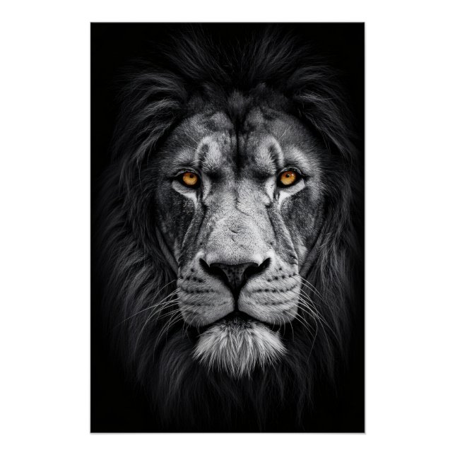 The King's Gaze Poster (Front)