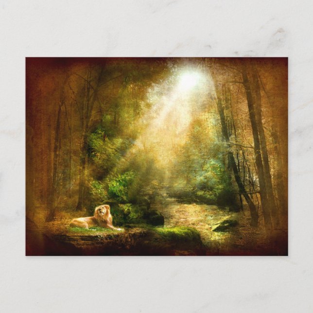 The King's Humility Postcard (Front)