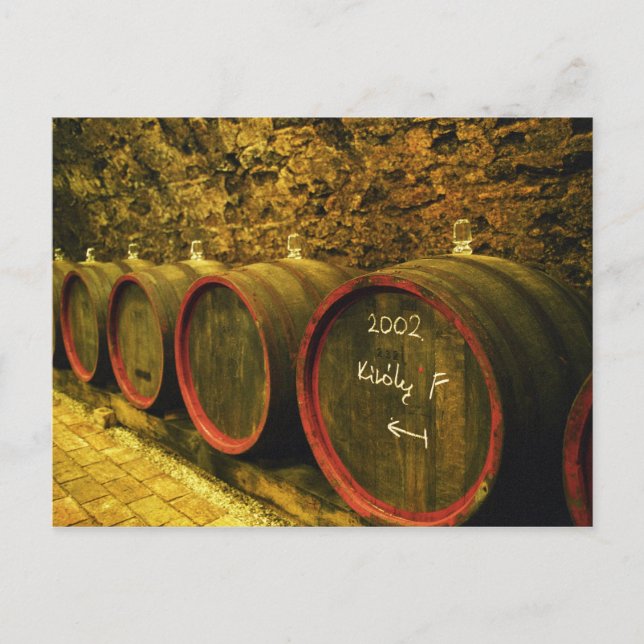 The Kiralyudvar winery: Barrels with Tokaj wine Postcard (Front)