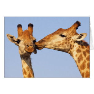 The Kiss