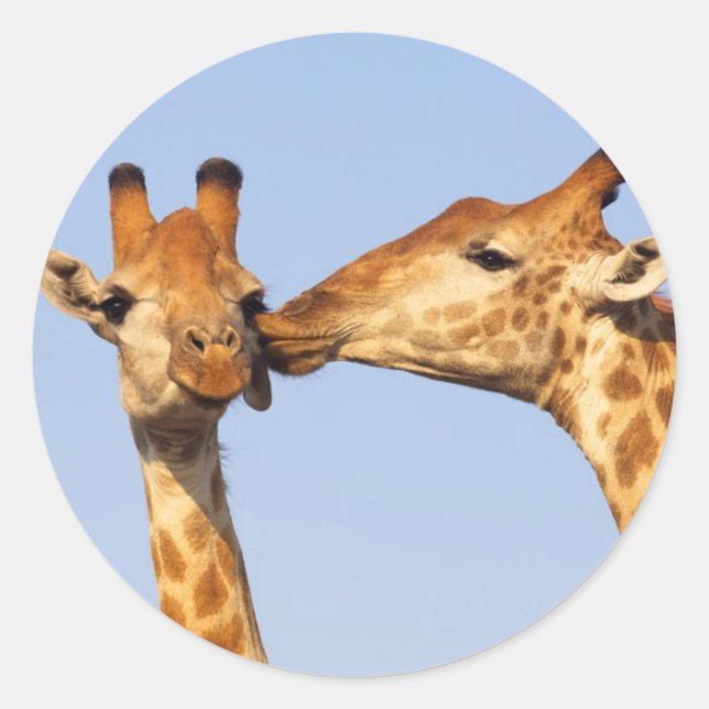 The Kiss Classic Round Sticker (Front)