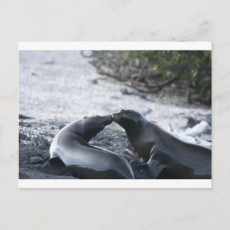 The kiss postcard