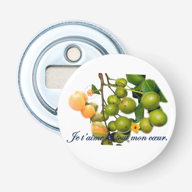 The kitchenette bottle opener (Front)