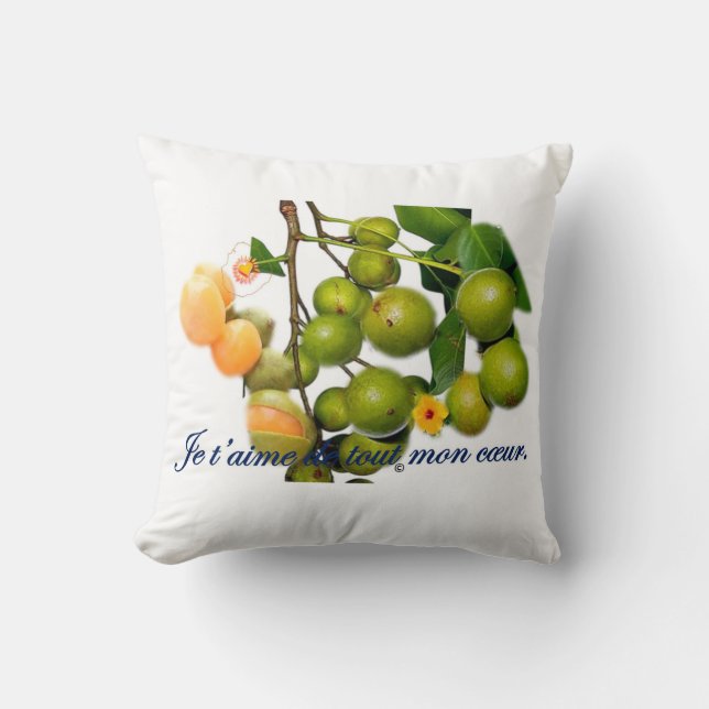 The kitchenette cushion (Front)