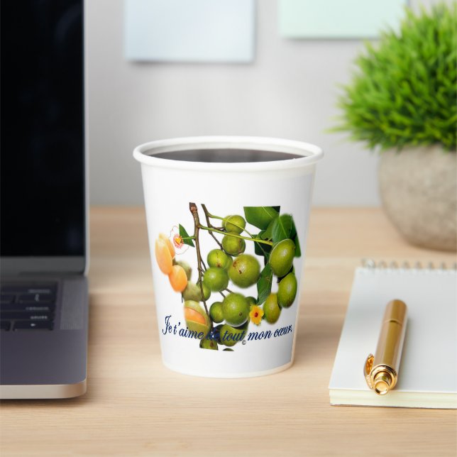 The kitchenette paper cups (Insitu)