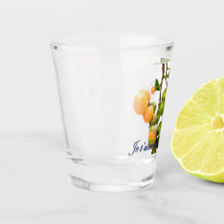 The kitchenette shot glass