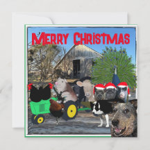 The Kitchen's Garden Full Cast