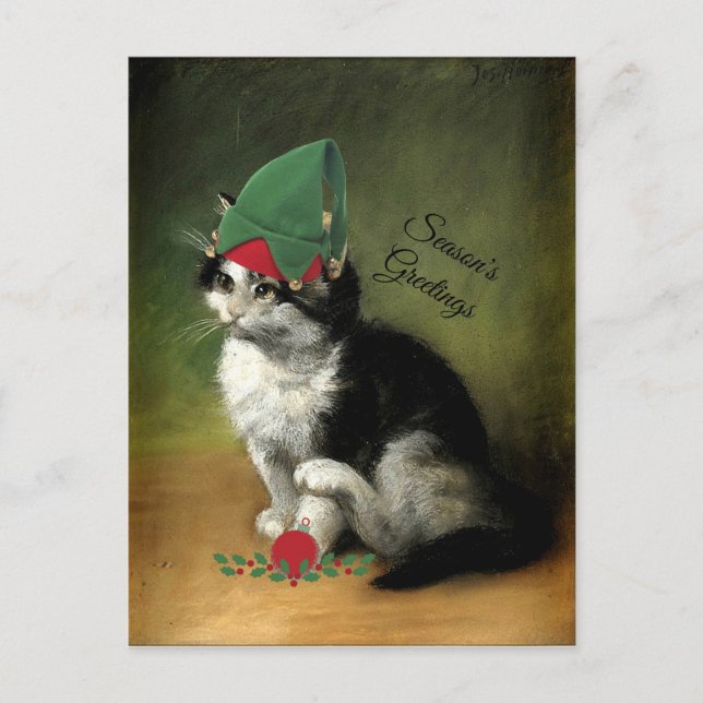 The Kitten, Old-Fashioned Christmas Holiday Postca (Front)