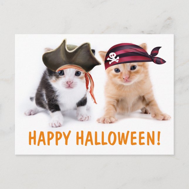 The Kitten Sisters Pirate Halloween Postcard (Front)
