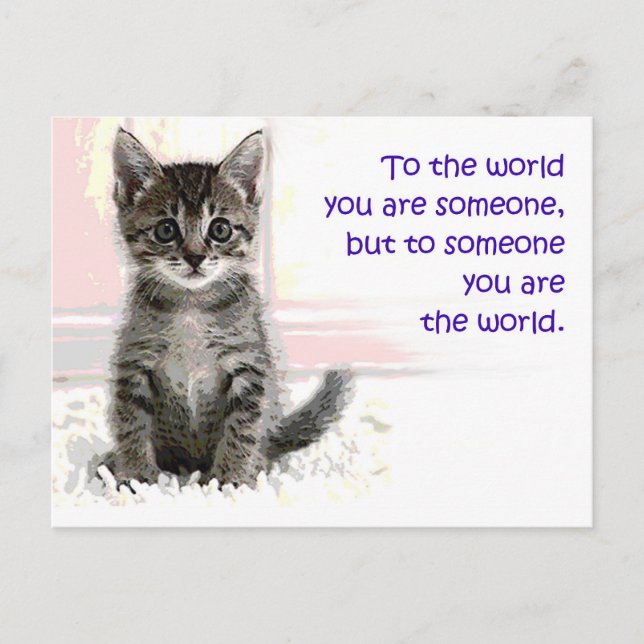 The Kitten's World Postcard (Front)