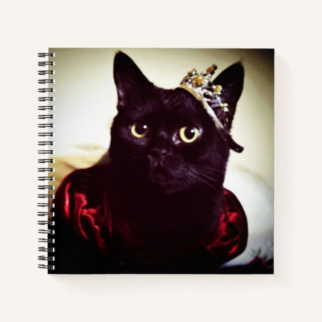 The Kitty Princess Notebook (Front)