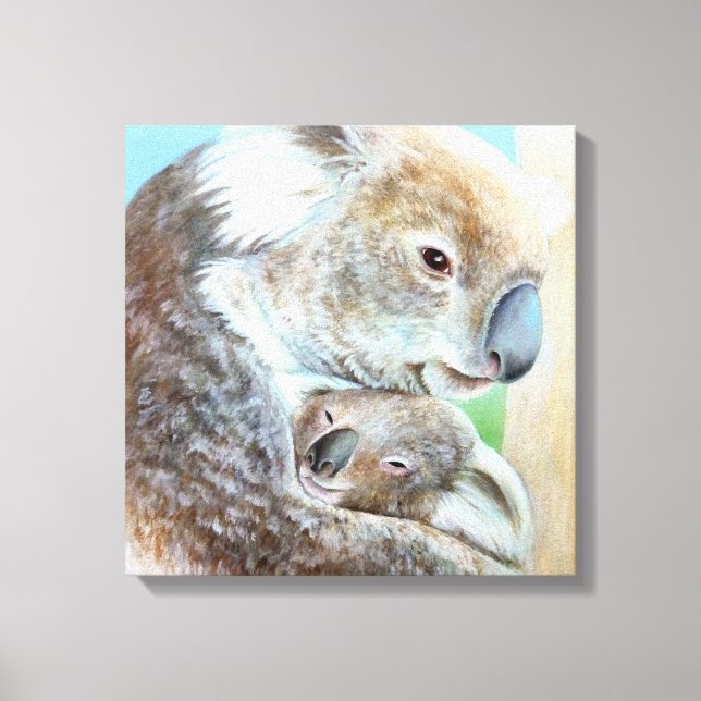 The Koala cuddle canvas fine art square print (Front)
