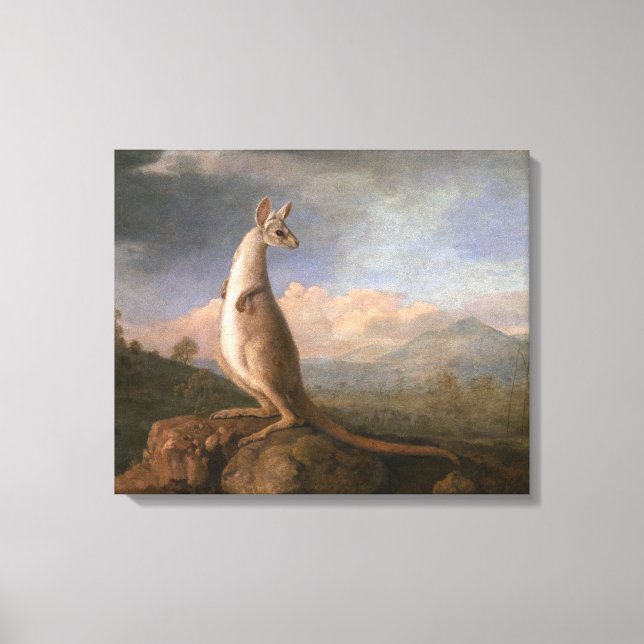 The Kongouro From New Holland by George Stubbs Canvas Print (Front)