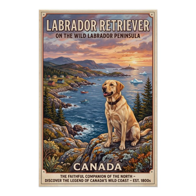 The Labrador Retriever  Poster (Front)