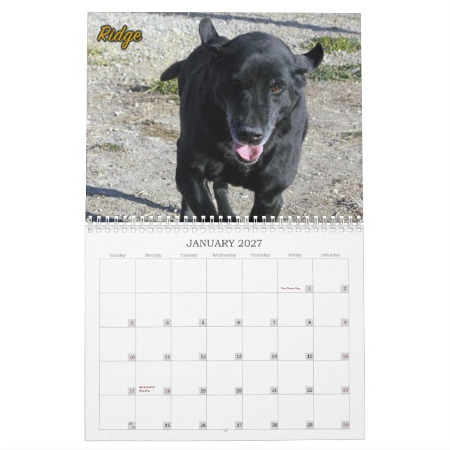 The Labradors of Four Paws Kennel Calendar (Jan 2027)