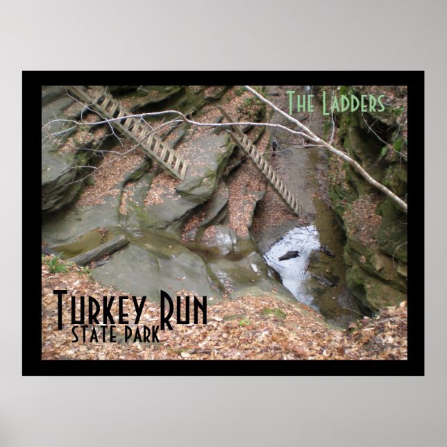 The Ladders, Turkey Run State Park Poster (Front)