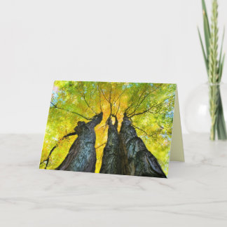 The Ladies dance, Fall card, autumn, tree Card