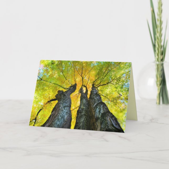 The Ladies dance, Fall card, autumn, tree Card (Front)