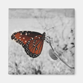 The lady at the lake magnet