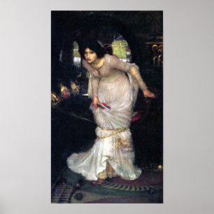 The Lady Of Shalott  ~1894~ Poster
