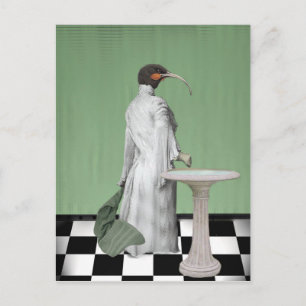 The Lady's Bath Postcard