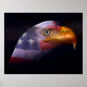 The Land of the Free, Home of the Brave Poster