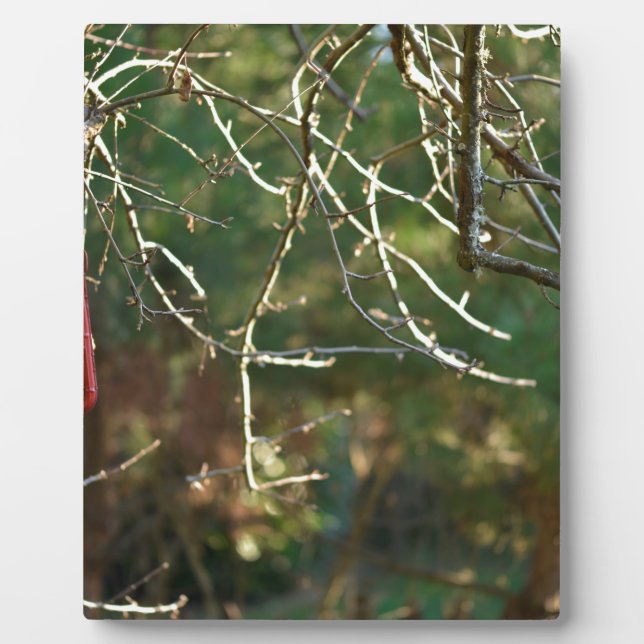 The Lantern Plaque (Front)