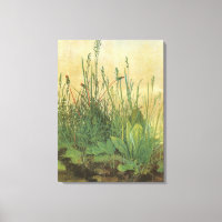 The Large (Great) Piece of Turf by Albrecht Durer