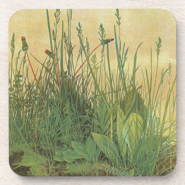 The Large (Great) Piece of Turf by Albrecht Durer Coaster (Front)