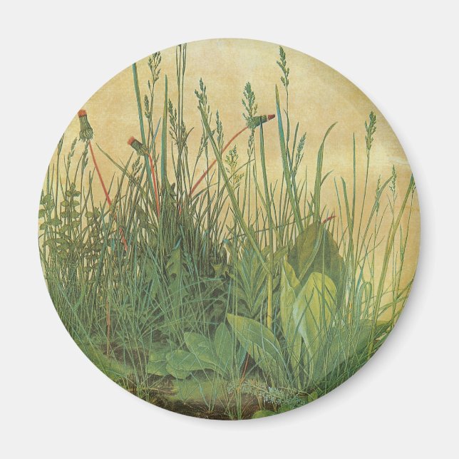 The Large (Great) Piece of Turf by Albrecht Durer Magnet (Front)