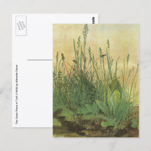 The Large (Great) Piece of Turf by Albrecht Durer Postcard