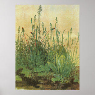 The Large (Great) Piece of Turf by Albrecht Durer Poster