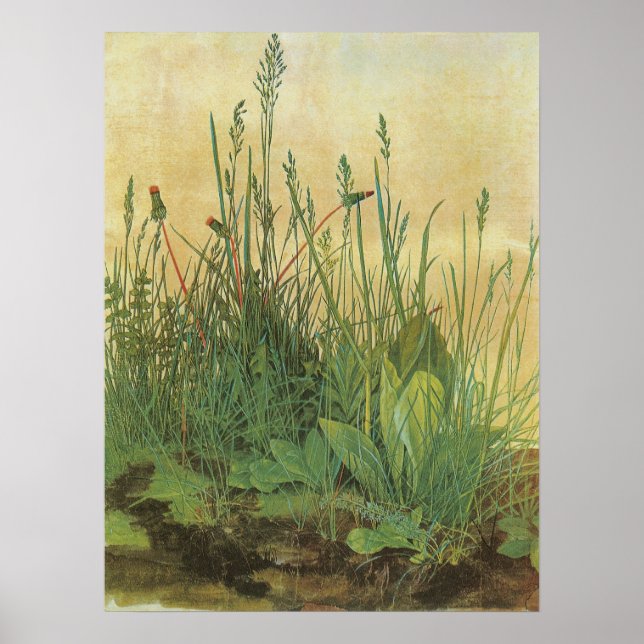 The Large (Great) Piece of Turf by Albrecht Durer Poster (Front)