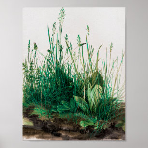The Large Piece of Turf by Albrecht Durer Poster