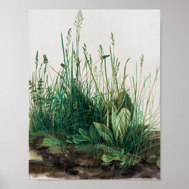 The Large Piece of Turf by Albrecht Durer Poster (Front)