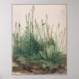 The Large Piece of Turf by Albrecht Durer Poster