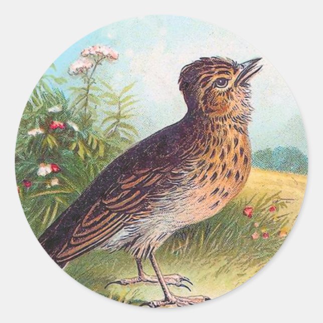 "The Lark" Vintage Illustration Classic Round Sticker (Front)