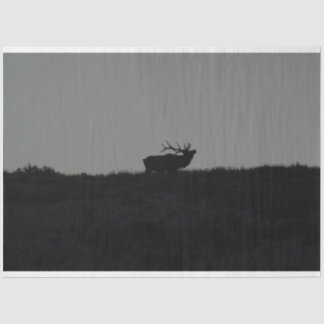 The Last Bugle  Tissue Paper