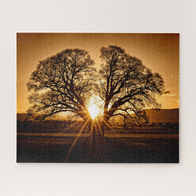 The Last Burst of Sunset - 16x20 - 520 pcs. Jigsaw Puzzle (Horizontal)