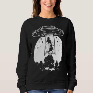 The Last Dinosaur On Earth 3 Sweatshirt