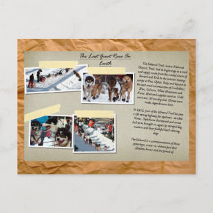 The Last Great Race On Earth Postcard