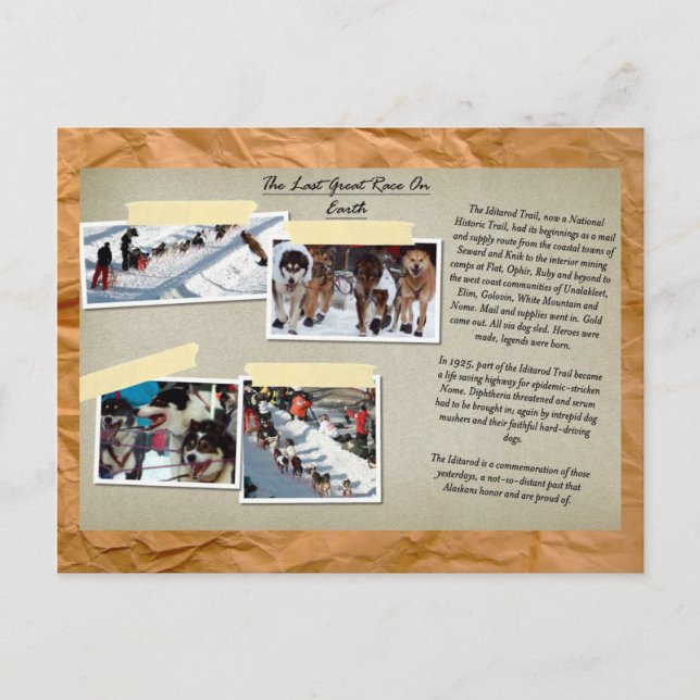 The Last Great Race On Earth Postcard (Front)