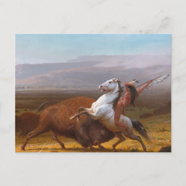 The Last of the Buffalo Postcard (Front)