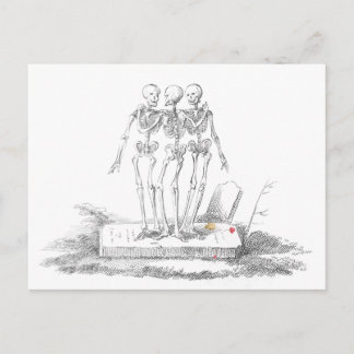 The Last of the Graces Postcard