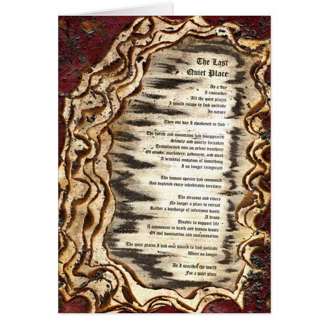 The Last Quiet Place (Front)