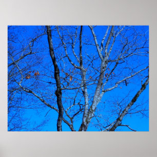 The Last Remains Of Fall Poster